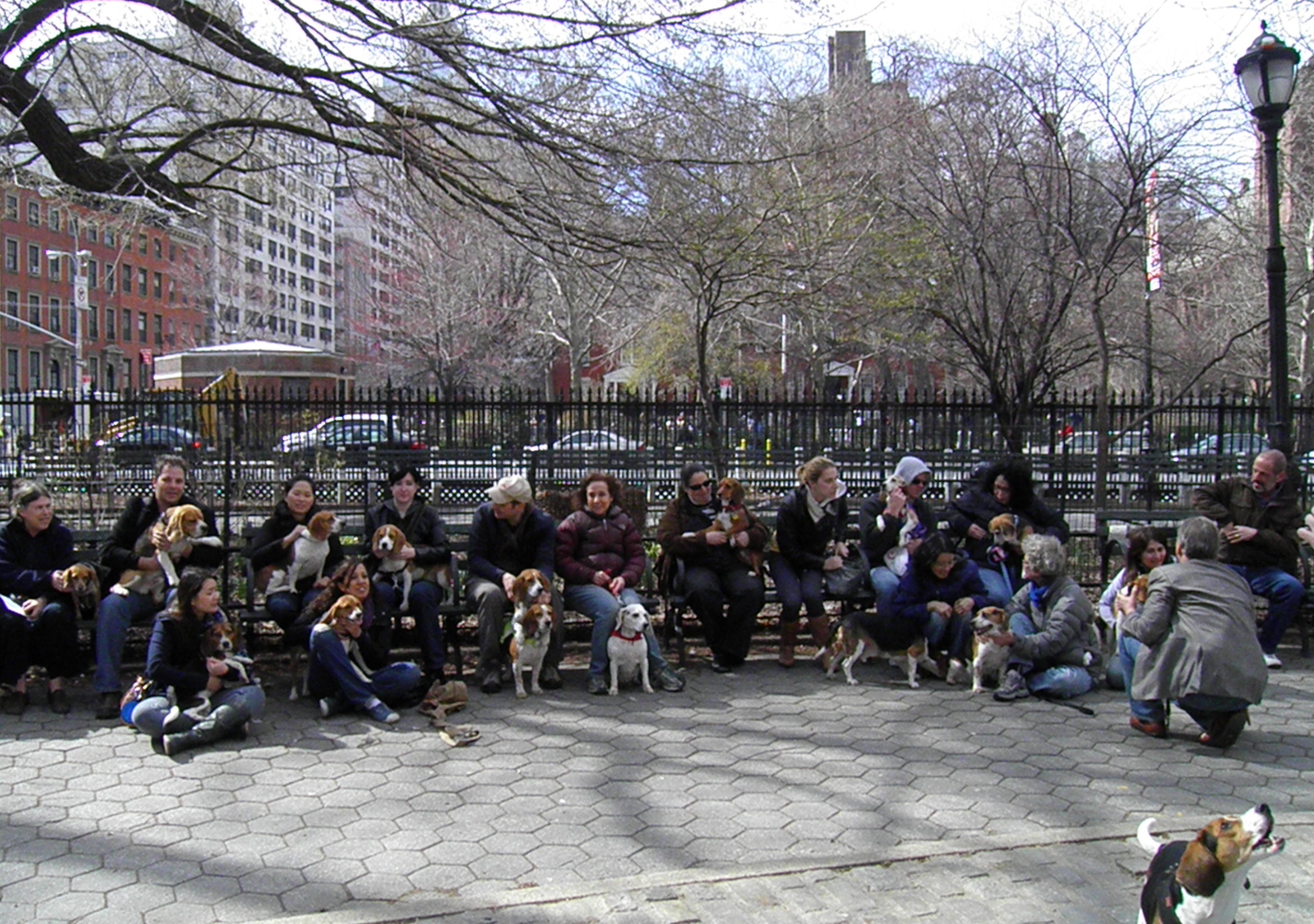 beagle meetup in stuyvesant square