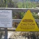 Rattlesnake Sign, Ballona Wetlands