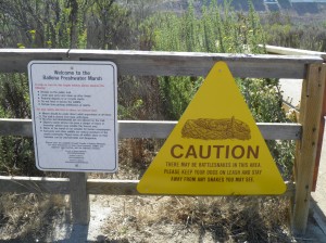Rattlesnake Sign, Ballona Wetlands