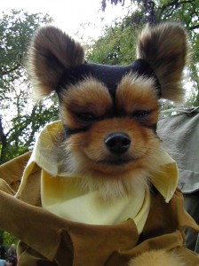 Fantastic Mr. Fox