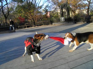 The Beagles' War on Christmas