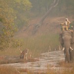 See The Wild trip to India