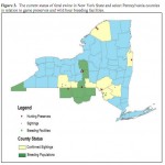 USDA map linking NY feral hog populations to hunting preserves, game farms