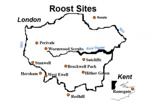 map of london ring-necked parrot roost sites