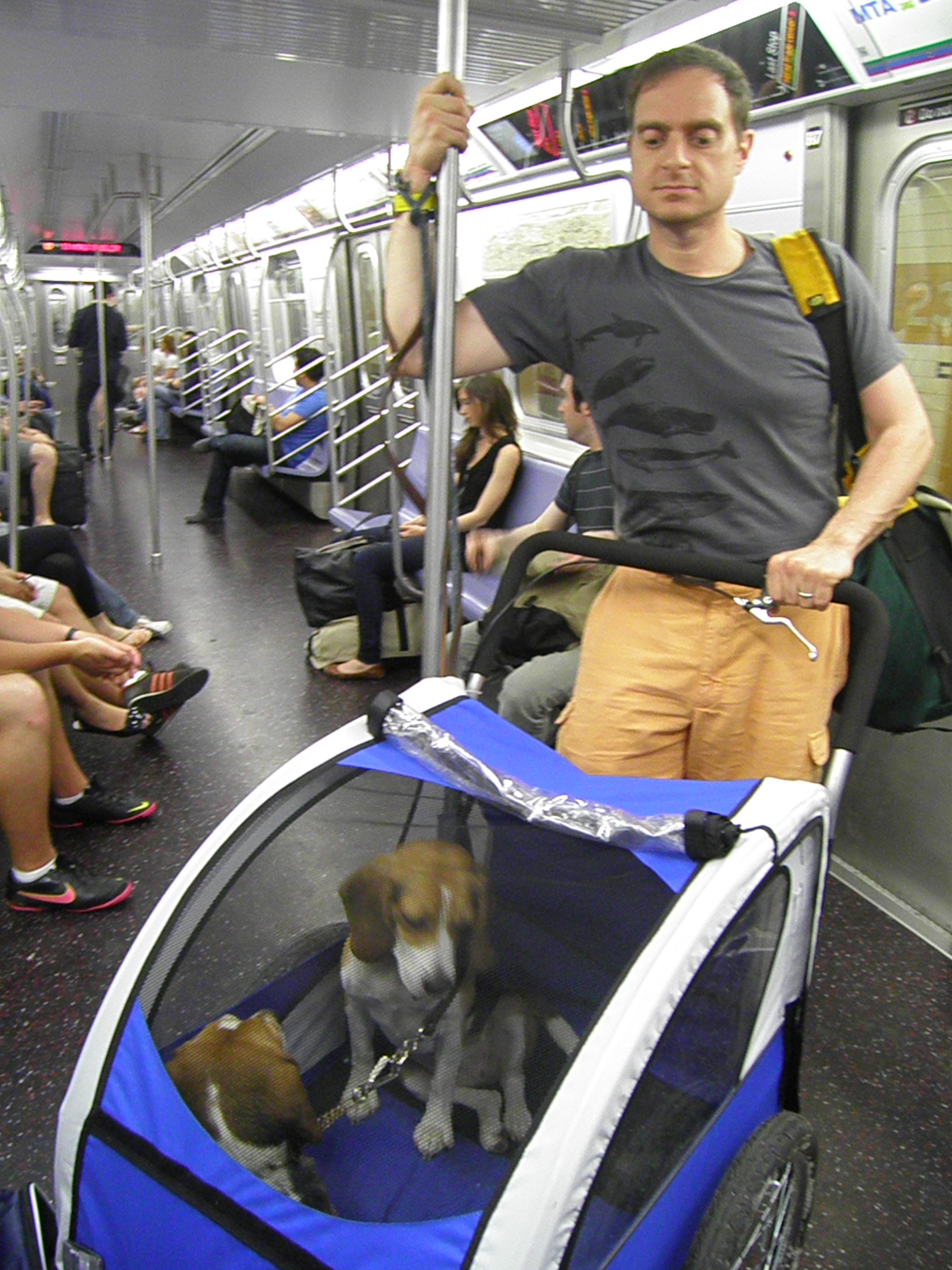 can you take dogs on the subway in new york