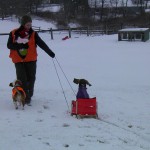 The beagle sled team