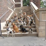 22 beagles sit patiently on the Prospect Park Picnic House steps.