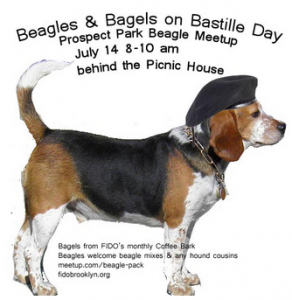 Beagle in a beret