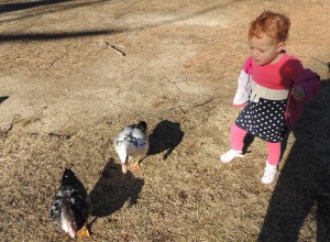 Baby girl with ducks at Duck Pond in Buckhead, Atlanta