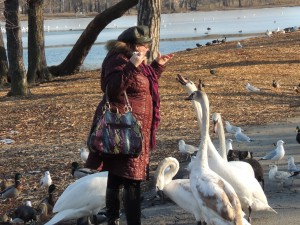 Woman tries to pet the aggressive swans at Prospect Park Lake. Excellent idea.