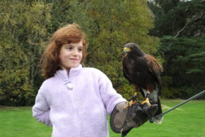 girl with harris hawk